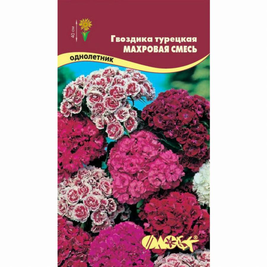 Гвоздика махровая смесь. Гвоздика Барбатус махровая смесь. Гвоздика турецкая махр. Смесь (0,2г). Гвоздика турецкая махровая смесь. Турецкая гвоздика семена.