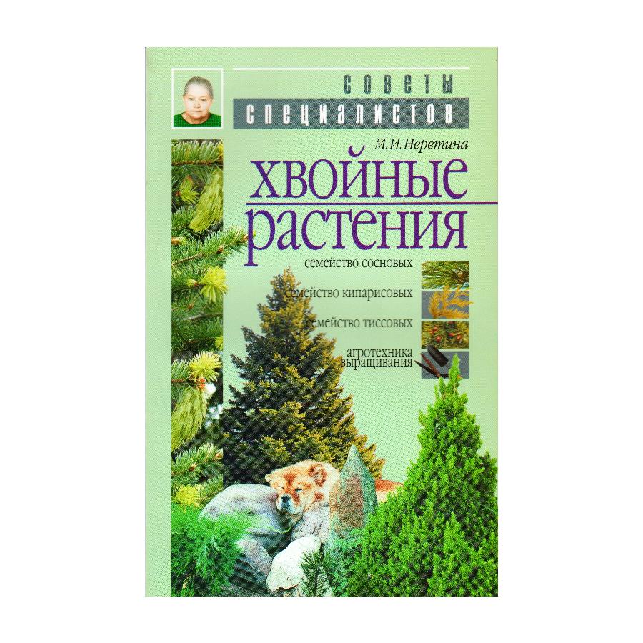 Книги хвойных. Литература про хвойные растения. Хвойные растения книга, л. с. Плотникова. Тайна хвоинки книжка. Купить книгу хвойные растения в вашем саду Александрова.