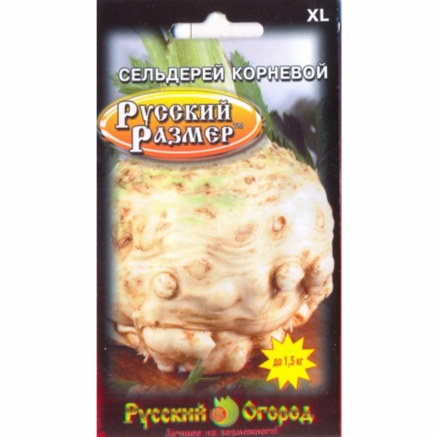 Сельдерей россия. Сельдерей корневой русский размер 100шт. Сельдерей корневой русский размер НК. Корневой сельдерей русский размер семена. Сельдерей корневой Есаул.