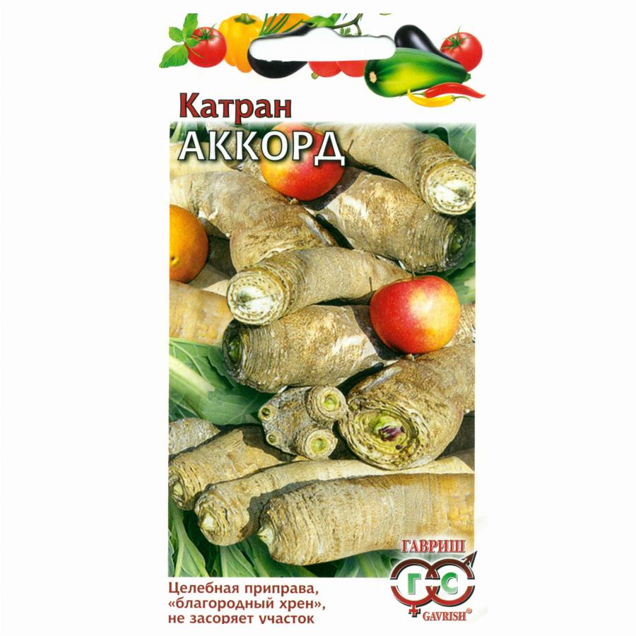 Хрен катран. Семена хрена Катран. Катран (хрен татарский) Аккорд, 0,5г, Гавриш. Семена Катран Аккорд 0,5 г. Катран (хрен) Аккорд.