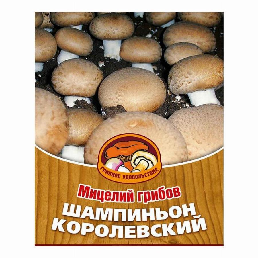 Купить Грибную Мицелию В Ставрополе