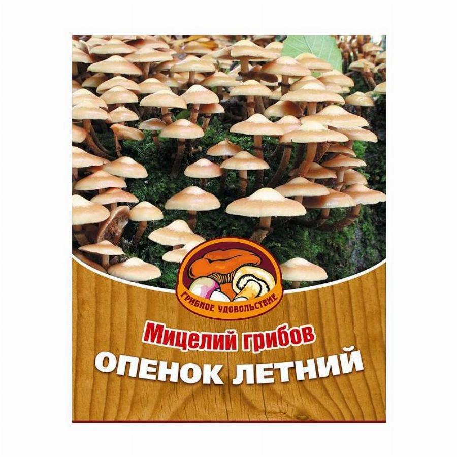 Купить Грибную Мицелию В Ставрополе
