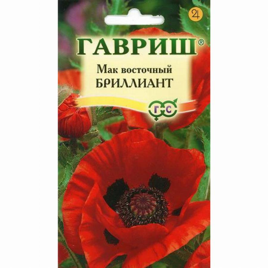 Купить Многолетний Мак На Сайте Цветы Голландии