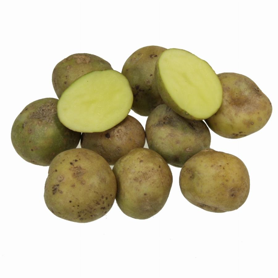 Какие семена картошки