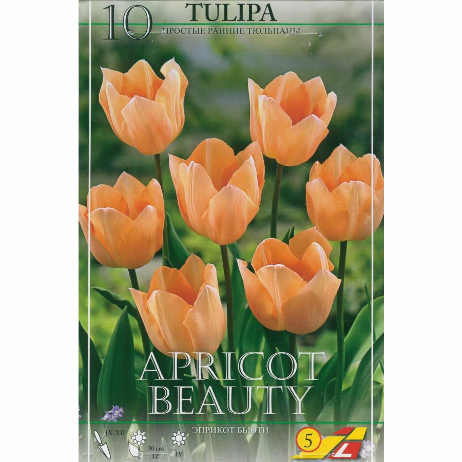Тюльпан Априкот Бьюти