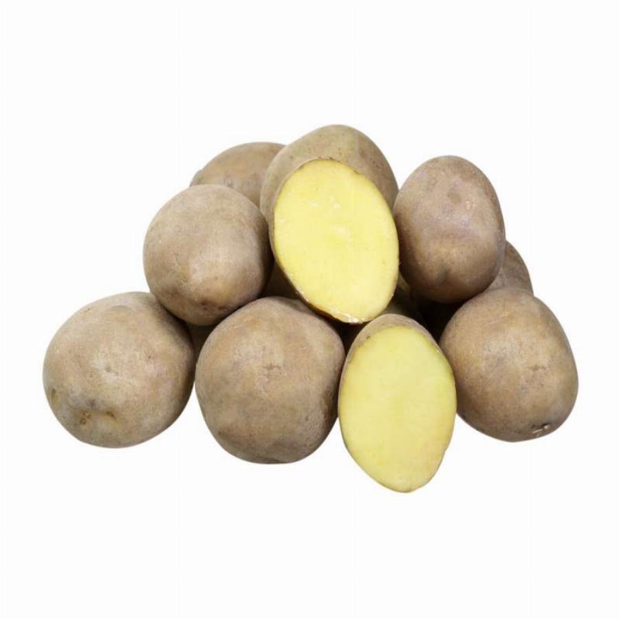 Джелли картофель характеристика отзывы. Сорт картофеля Джелли. Семенной картофель Лорх. Картофель семенной голубизна суперэлита. Картофель Лорх семена.
