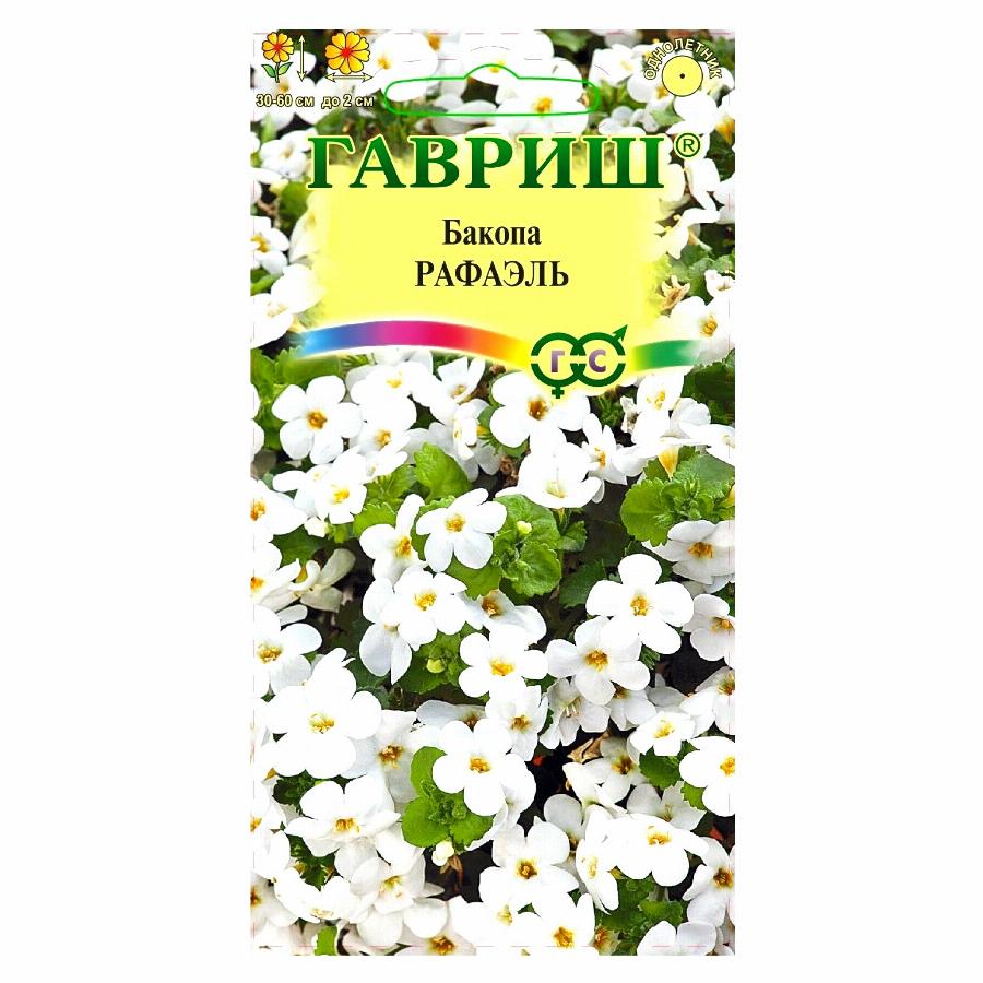 Купить Черенки Бакопы В Краснодарском Крае