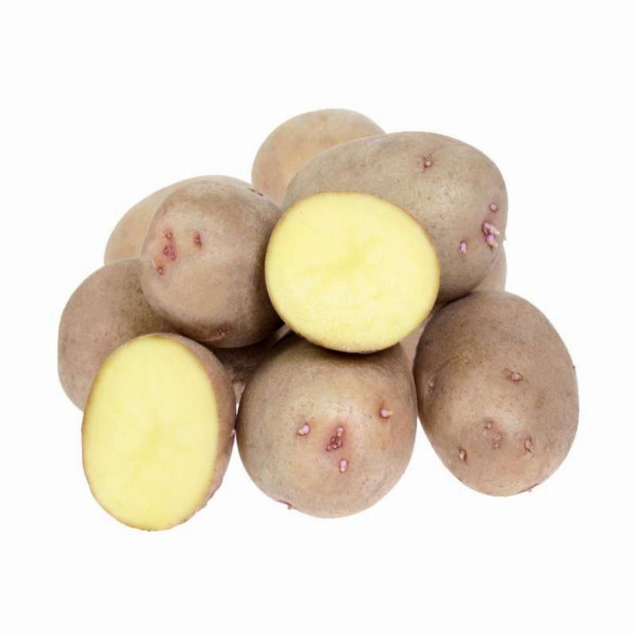 Картофель округлой формы. Сорт картофеля Тимо. Картофель Тимо Ханккиян. Семенной картофель Метеор. Семенной картофель кемеровчанин.