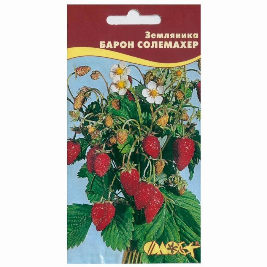 Земляника Лесная Семена Купить