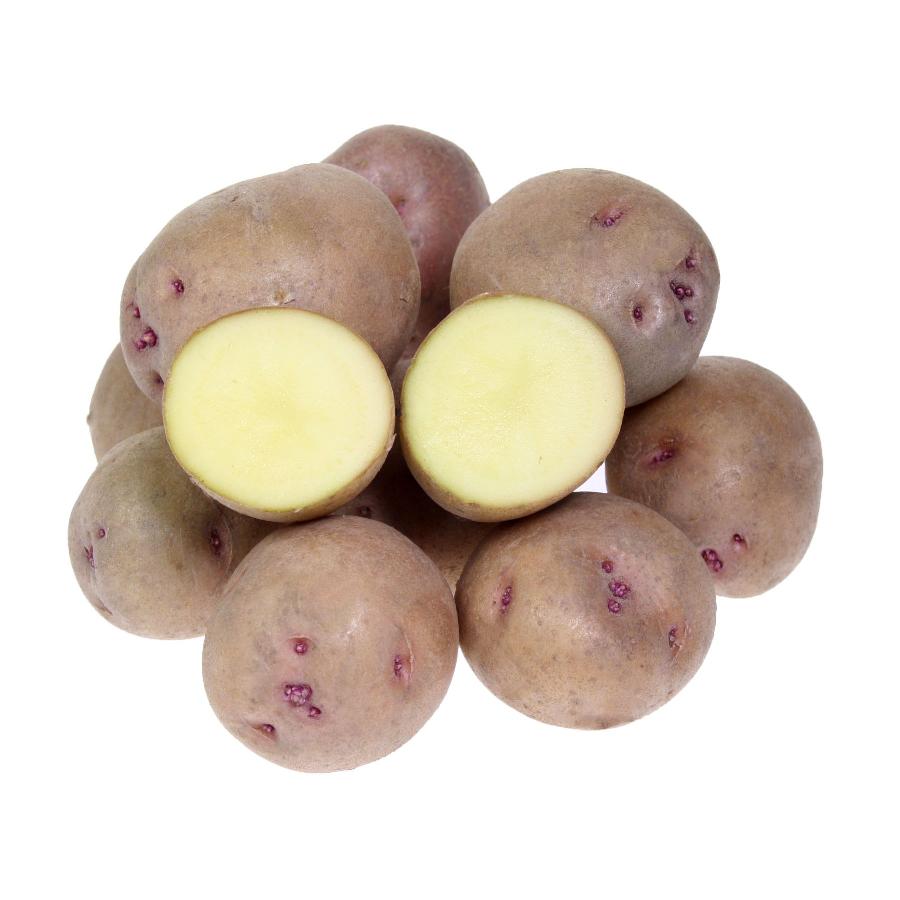 Купить семенной картофель в воронеже. Семенной картофель. Посадочный картофель. Картофель посадочный семенной. Цветной картофель.