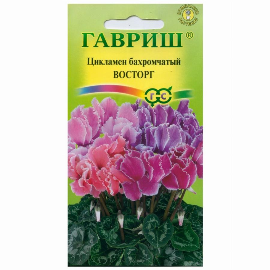 Купить Семена Цикламена Недорого