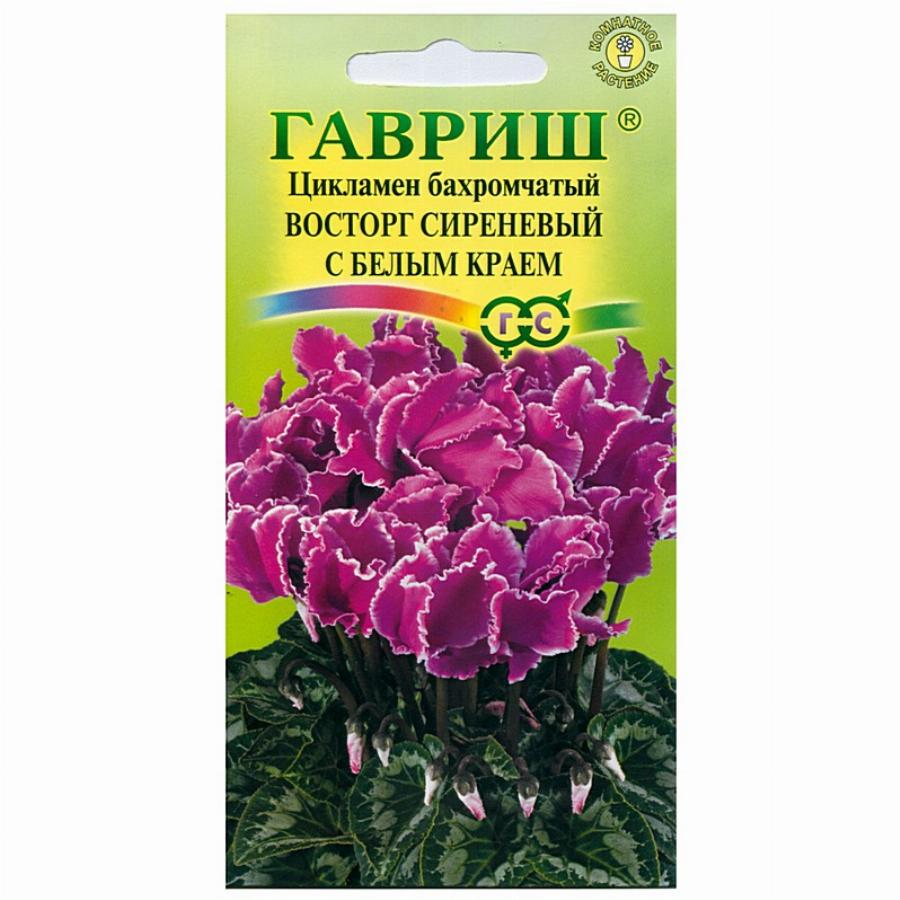 Купить Семена Цикламена Недорого