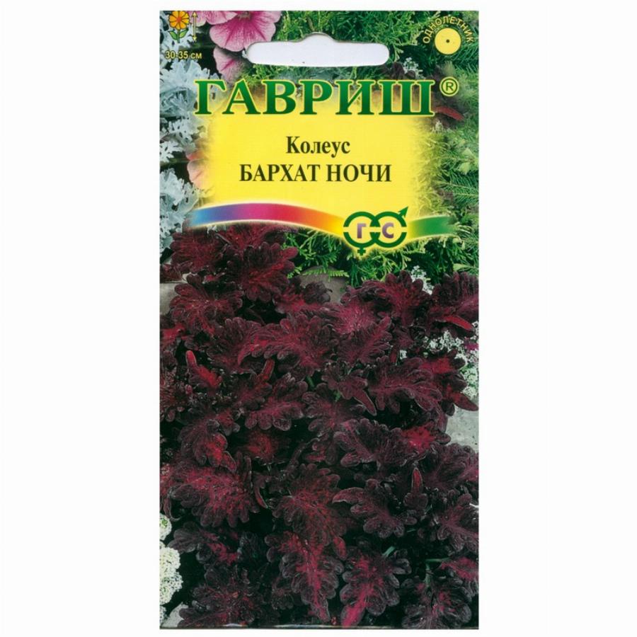 Семена Колеуса Купить В Нижнем Новгороде