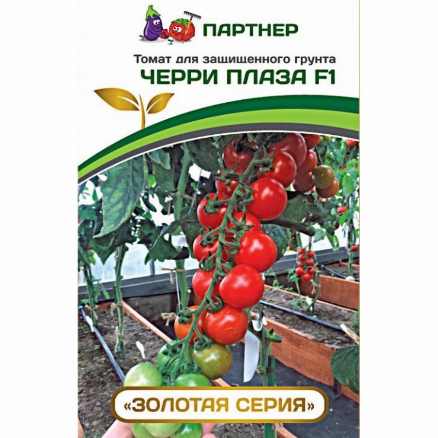 Черри Порпора F1 Семена Купить