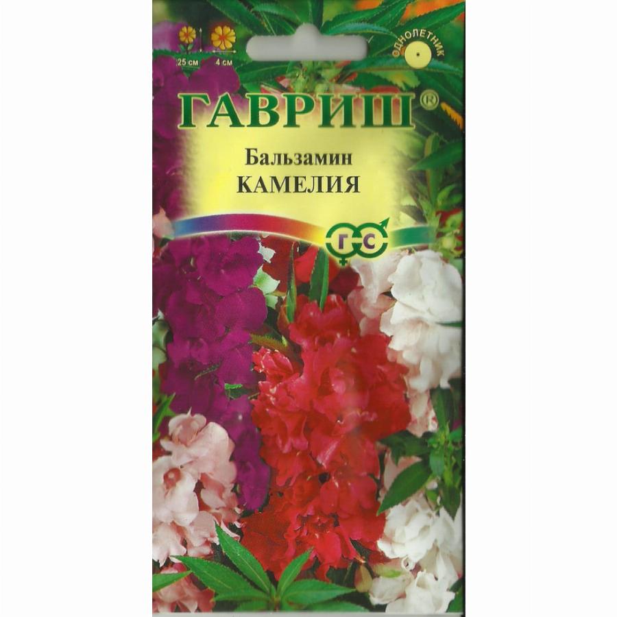 Бальзамин садовый камелия