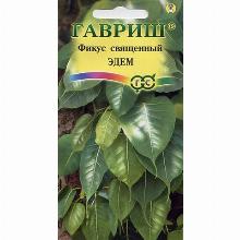 ФИКУС СВЯЩЕННЫЙ ЭДЕМ 0,03 Г гавриш