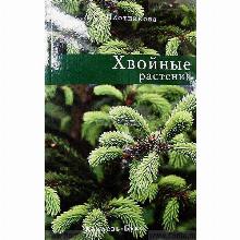 КНИГА ХВОЙНЫЕ РАСТЕНИЯ Л.С.ПЛОТНИКОВА кладезь букс