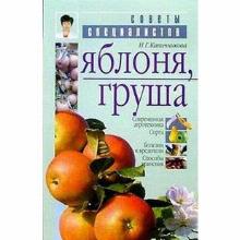 КНИГА ЯБЛОНЯ ГРУША СОВЕТЫ СПЕЦИАЛИСТОВ Н.Г.КАПИЧНИКОВА мсп