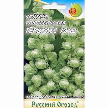 КАПУСТА БРЮССЕЛЬСКАЯ ГЕРКУЛЕС 1342 0,5 Г нк