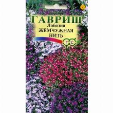 ЛОБЕЛИЯ ЖЕМЧУЖНАЯ НИТЬ 0,01 Г гавриш