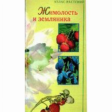 КНИГА ЖИМОЛОСТЬ И ЗЕМЛЯНИКА А.А.ЮШЕВ аст-сталкер