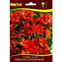 ЛИХНИС ХАЛЦЕДОНСКИЙ ХААГЕ ЛЮМИНА карточка