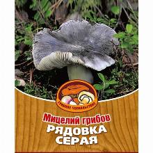 МИЦЕЛИИ РЯДОВКА СЕРАЯ 60мл грибное удовольствие