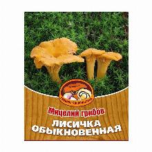 МИЦЕЛИИ ЛИСИЧКА ОБЫКНОВЕННАЯ 60мл грибное удовольствие