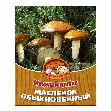 МИЦЕЛИИ МАСЛЕНОК ОБЫКНОВЕННЫЙ 60мл грибное удовольствие