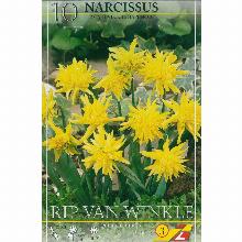 НАРЦИСС РИП ВАН ВИНКЛЬ 10шт-карточка lefeber
