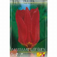 ТЮЛЬПАН МАДАМ ЛЕФЕБЕР 10шт-карточка lefeber
