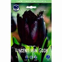 ТЮЛЬПАН ВИНСЕНТ ВАН ГОГ 10шт-карточка lefeber