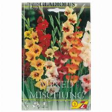 ГЛАДИОЛУС ГЛАДИОЛИ БАТТЕРФЛЯЙ СМЕСЬ ОКРАСОК 10шт-карточка lefeber