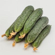 Нажмите чтобы увеличить изображение