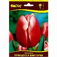 ТЮЛЬПАН ПРИНЦЕССА ВИКТОРИЯ 3шт-карточка