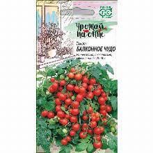 ТОМАТ БАЛКОННОЕ ЧУДО 0,1 Г гавриш