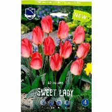 ТЮЛЬПАН СВИТ ЛЕДИ 10шт-карточка lefeber