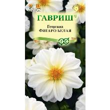 ГЕОРГИНА ФИГАРО БЕЛАЯ 7 ШТ гавриш