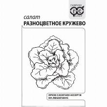 САЛАТ РАЗНОЦВЕТНОЕ КРУЖЕВО 0,5 Г Ч/Б гавриш