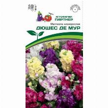 МАТТИОЛА НИЗКОРОСЛАЯ ДЮШЕС ДЕ МУР 10 ШТ партнер