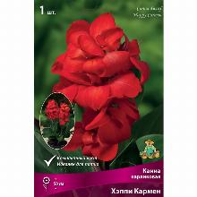 КАННА ХЕППИ КАРМЕН карточка поиск