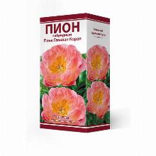 ПИОН ПИНК ГАВАЙАН КОРАЛ карточка поиск