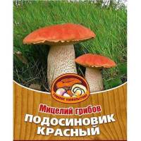 Мицелии грибов